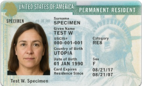 Green Card Winner #1